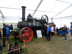 “The Wilder”, in the display tent at Dorset, owned by James Hodgson