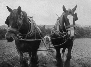 In good conditions a ploughing set can plough about 20 acres a day using roughly a tonne of coal. By contrast a horse plough could only manage 1 acre a day. The steam plough could plough deeper and cultivate ground impossible by other methods.