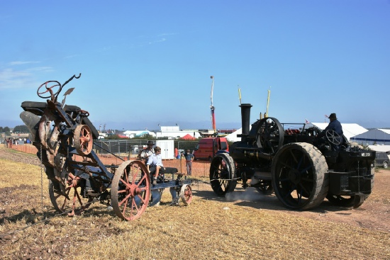 Fowler 15163 with four furrow plough (Photo C Flack)