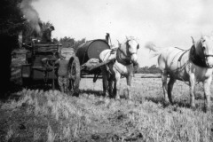 AK040-Unidentified-engine.-Horse-drawn-water-cart.-Date-place-unknown