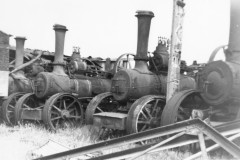 BLA031